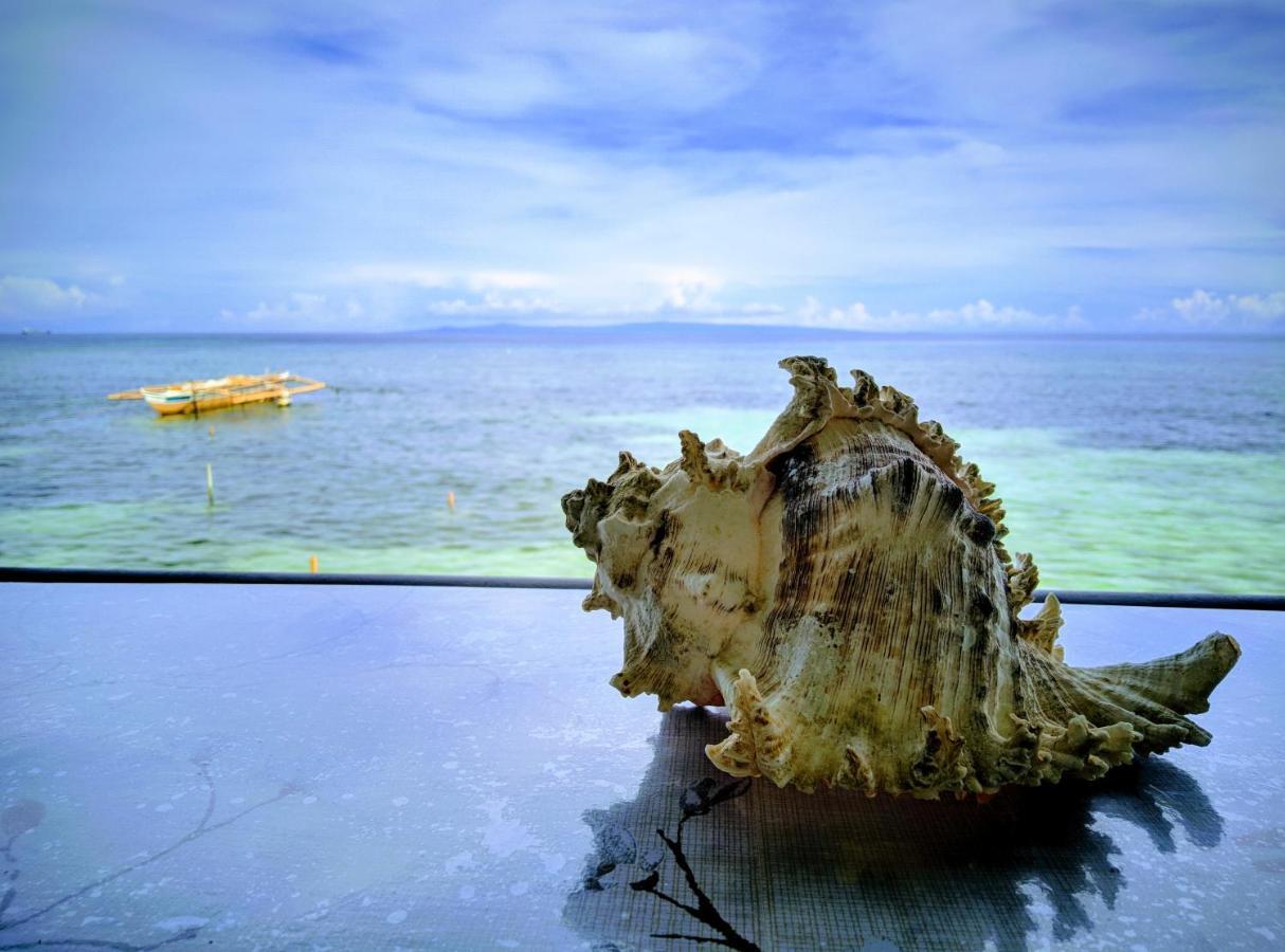 Ocean View Lodging House Oslob Exterior foto